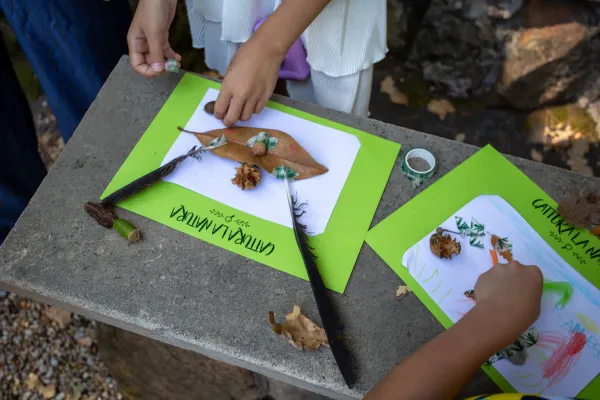 Children create their own “masterpieces” with leaves, bird feathers, and twigs collected along the way during a tour of the Vatican Gardens on Aug. 23, 2024.&nbsp;Credit: Hannah Brockhaus/CNA