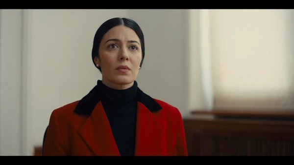 Actress Elizabeth Tabish as Violetta Petrosyan in the new film "Between Borders." Credit: Between Borders movie
