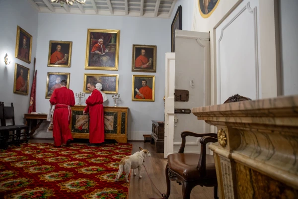 Minnie the archconfraternity dog stands guard as a group of pilgrims is about to enter for the washing of the feet in Rome, Monday, March 24, 2025. Credit: Hannah Brockhaus/CNA