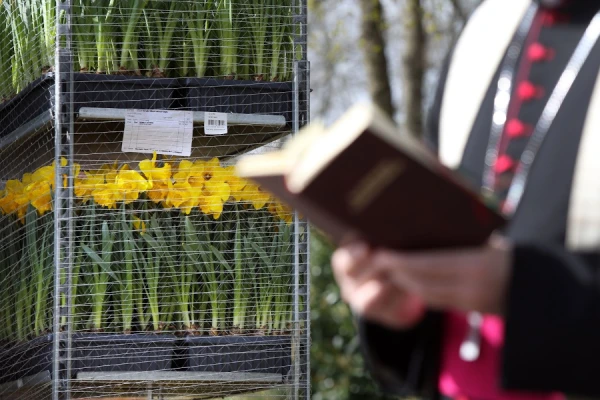 Bishop Hans van den Hende blesses the flowers destined for the Vatican on April 12, 2022. Credit: Ramon Mangold/Diocese of Rotterdam