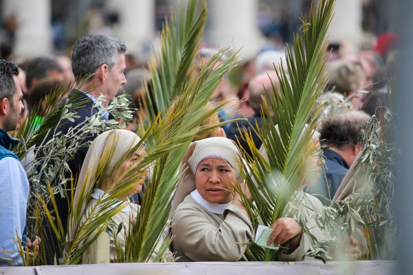 Religious sisters hold palm fronds and olive branches during Palm Sunday celebrations at St. Peter's Square, April 13, 2025. The traditional symbols commemorate Christ's triumphal entry into Jerusalem as crowds laid branches before him, marking the beginning of Holy Week. | Credit: Bénédicte Cedergren / EWTN News. Credit: Bénédicte Cedergren / EWTN News