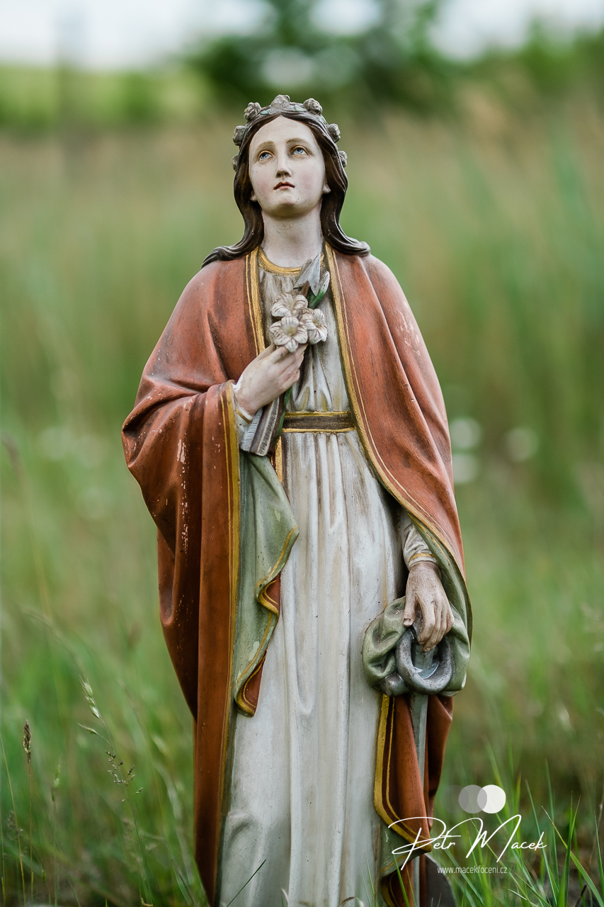 A statue recovered from the demolished Church of All Saints stands in a field above the buried village of Radovesice in the Czech Republic during a 2023 gathering of former parishioners. | Credit: Petr Macek
